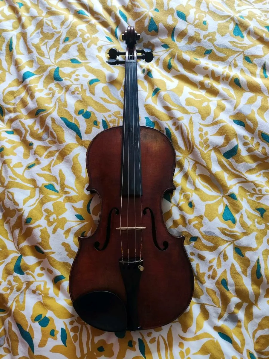 15" Viola - Image 1