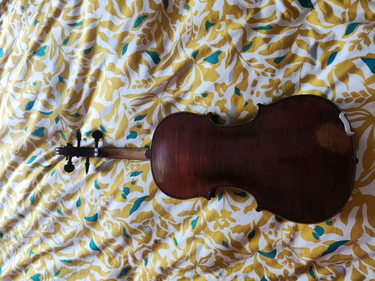 15" Viola - Image 2