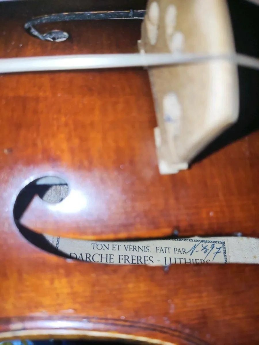 15" Viola - Image 3
