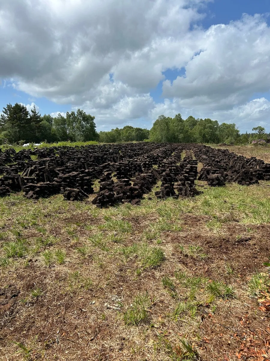 Turf - Image 2