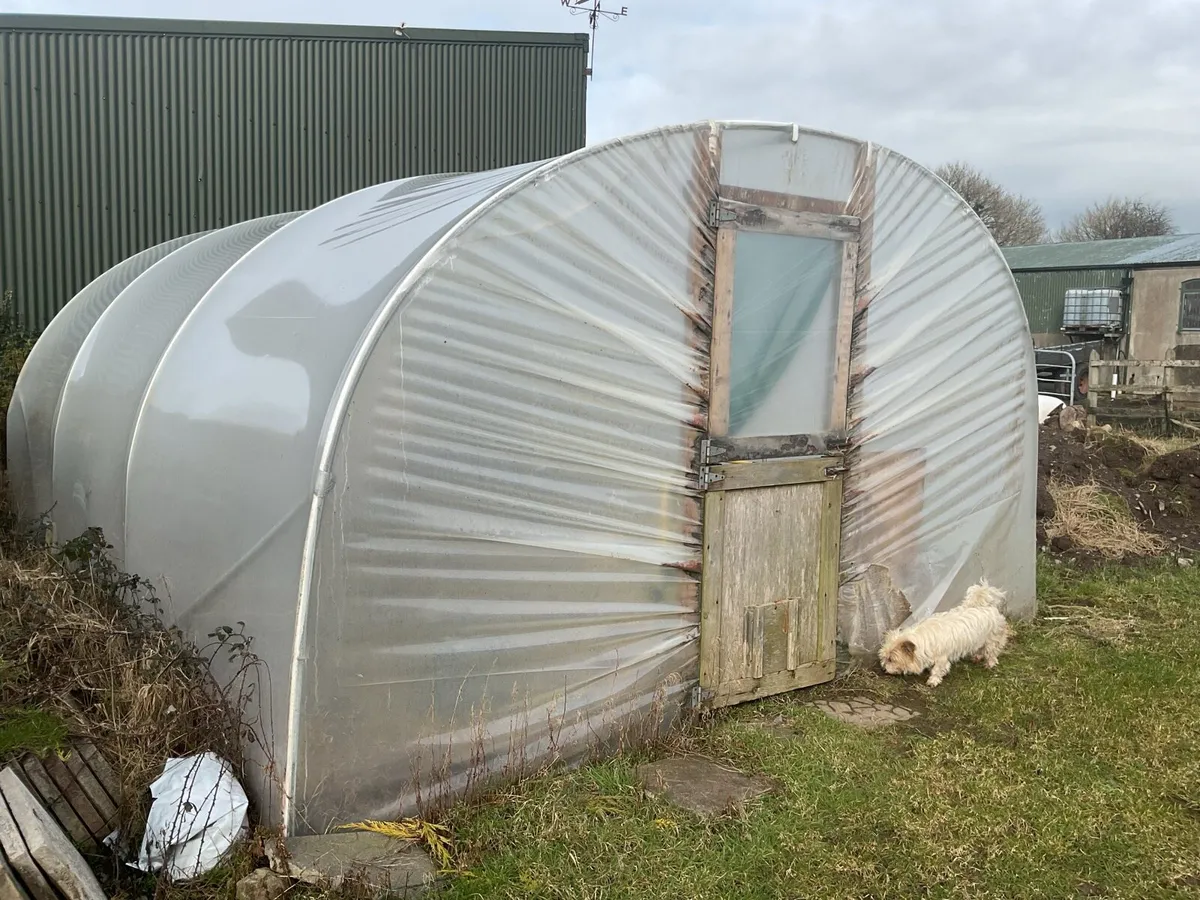 Polytunnel - Image 1