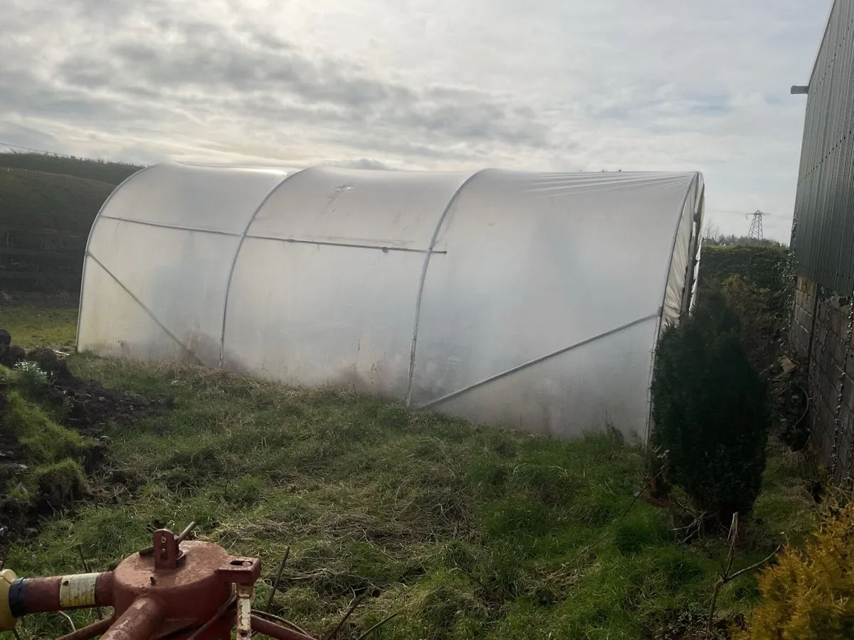 Polytunnel - Image 2