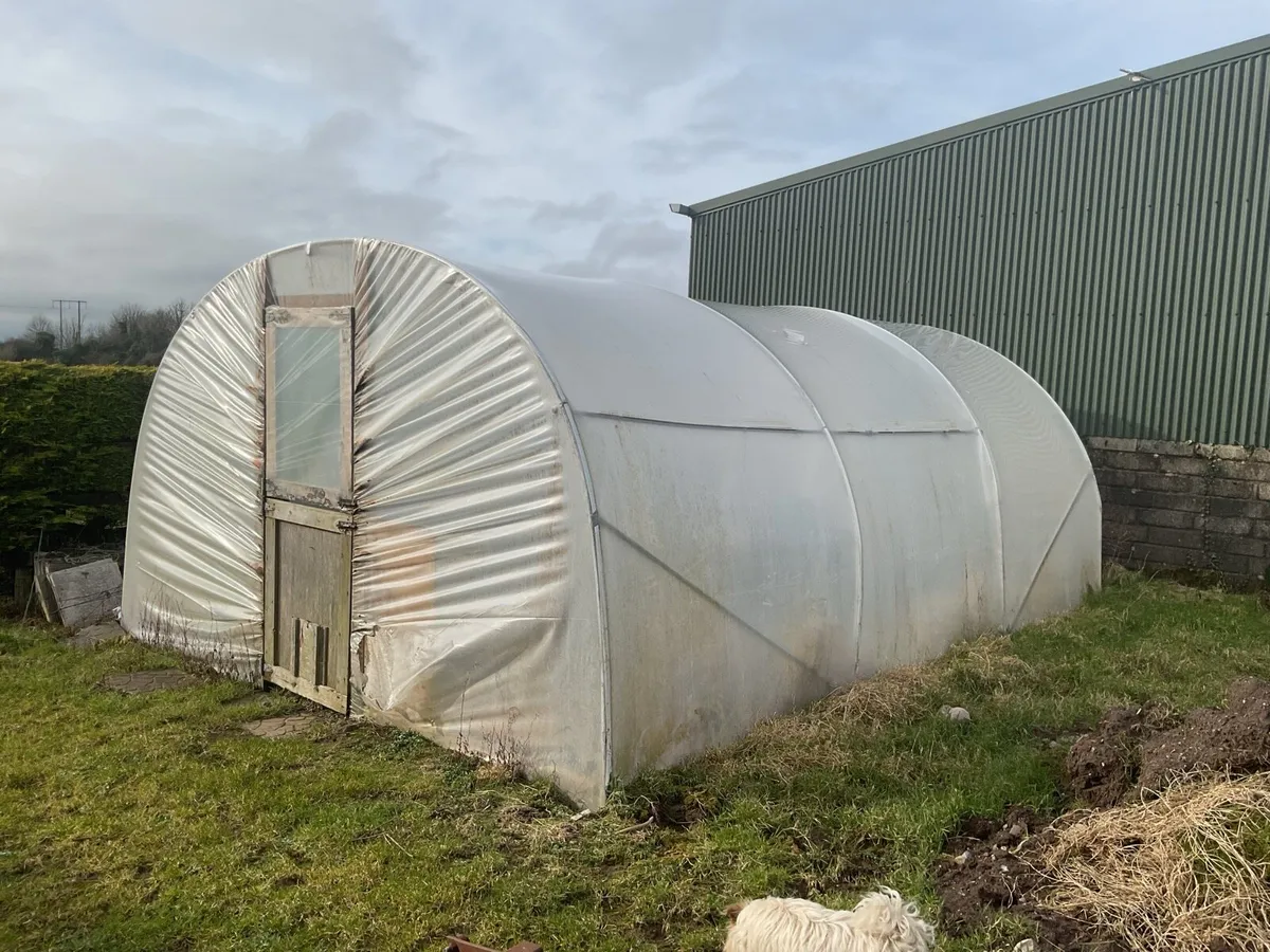 Polytunnel - Image 3