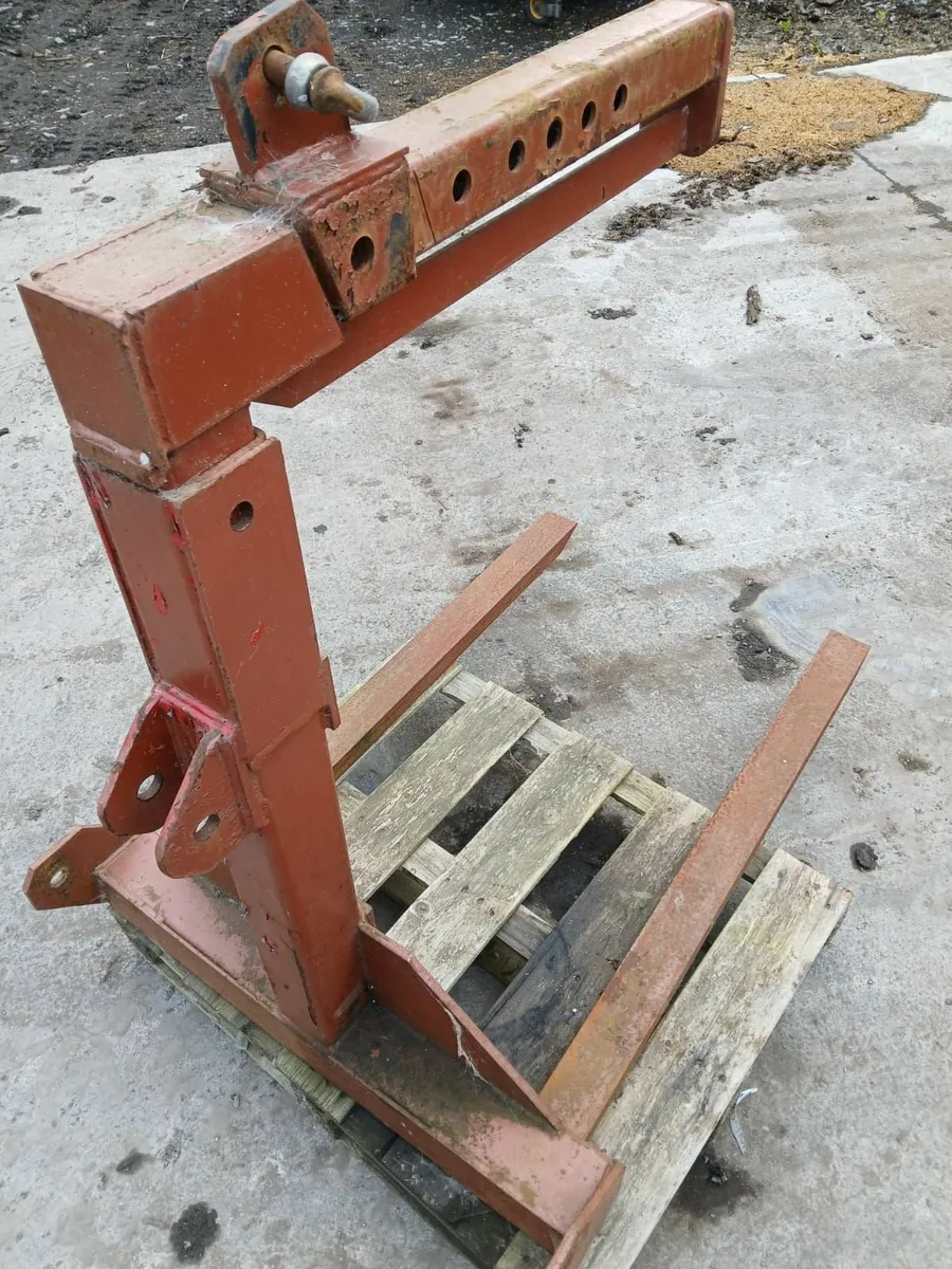 Pallet forks - Image 1