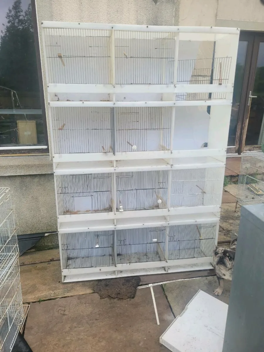 Cages for sale - Image 1