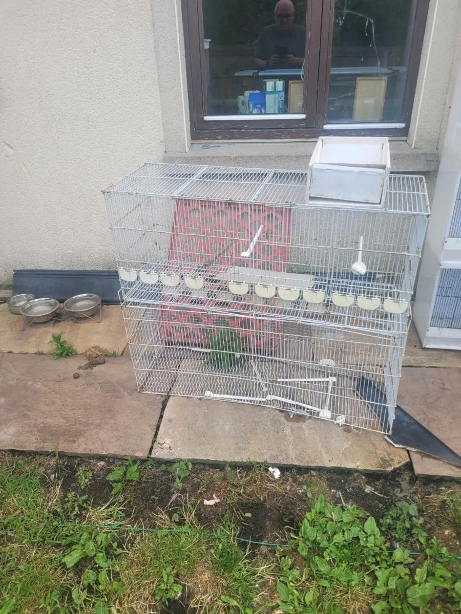 Cages for sale - Image 3
