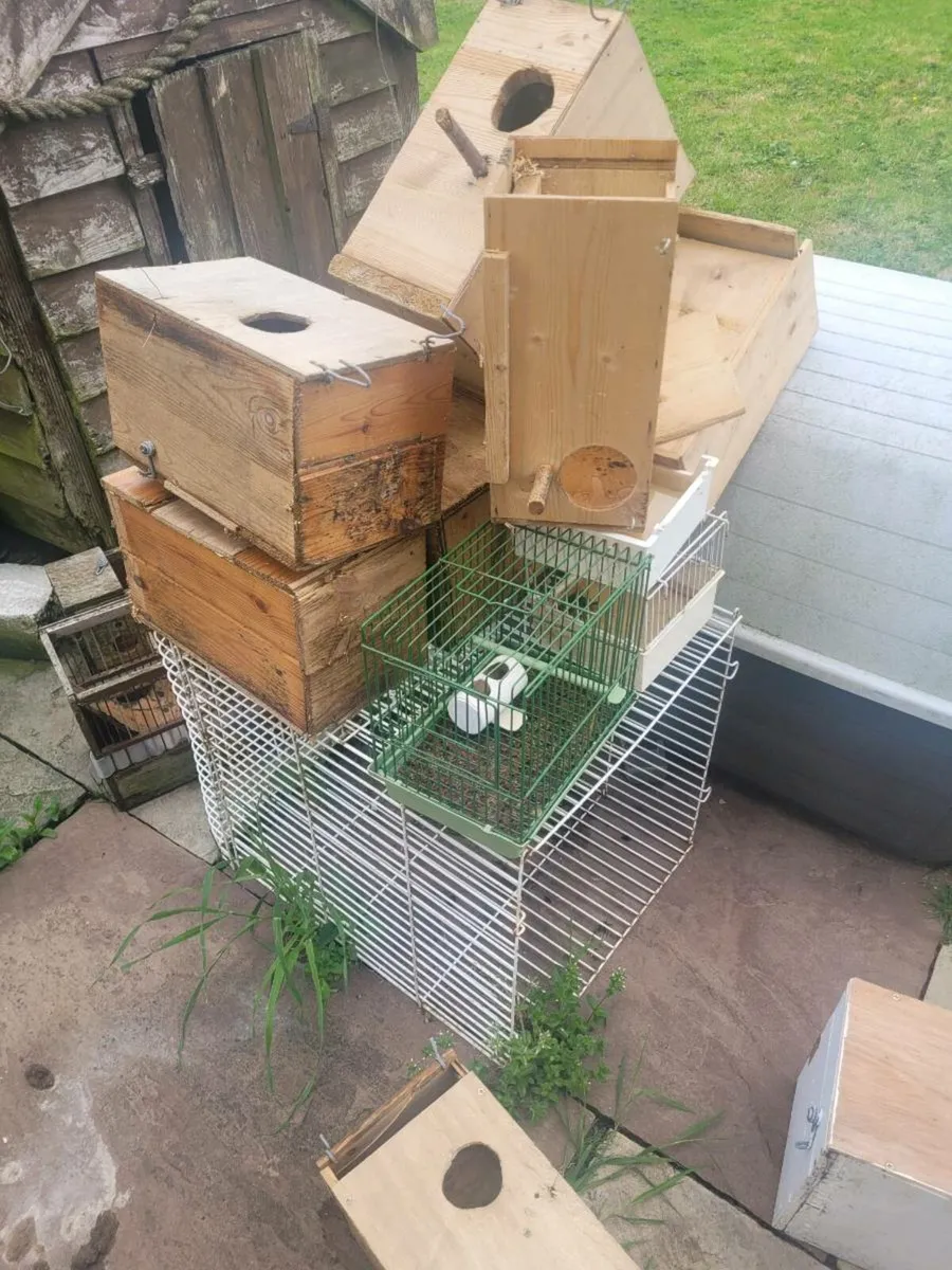 Cages for sale - Image 4