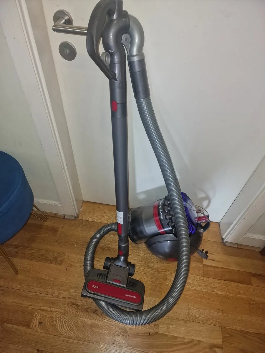 Dyson Big Ball Animal CY 23 - Image 1