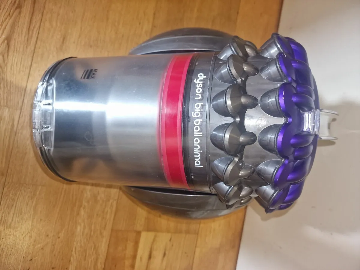 Dyson Big Ball Animal CY 23 - Image 2