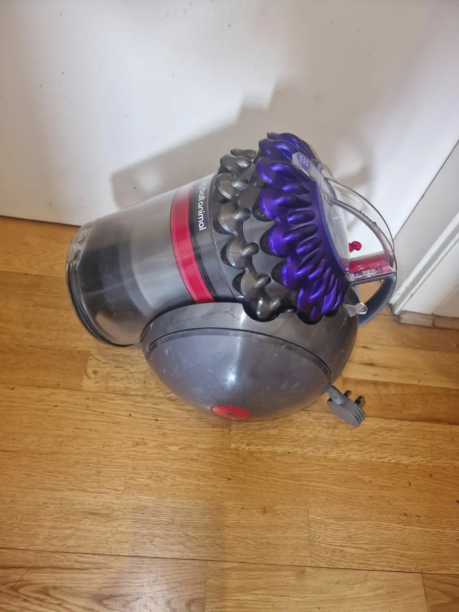 Dyson Big Ball Animal CY 23 - Image 3