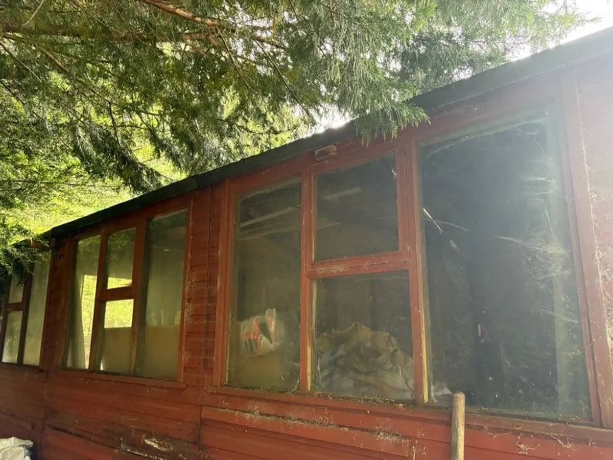 Shed for Sale - Image 3