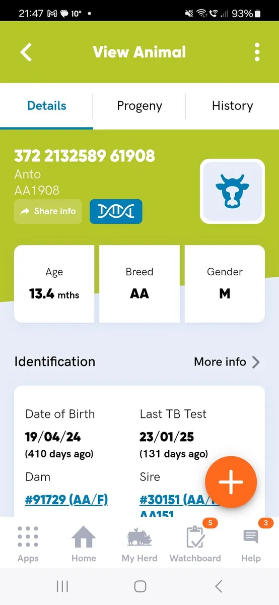 Pedigree Angus Bull - Image 3