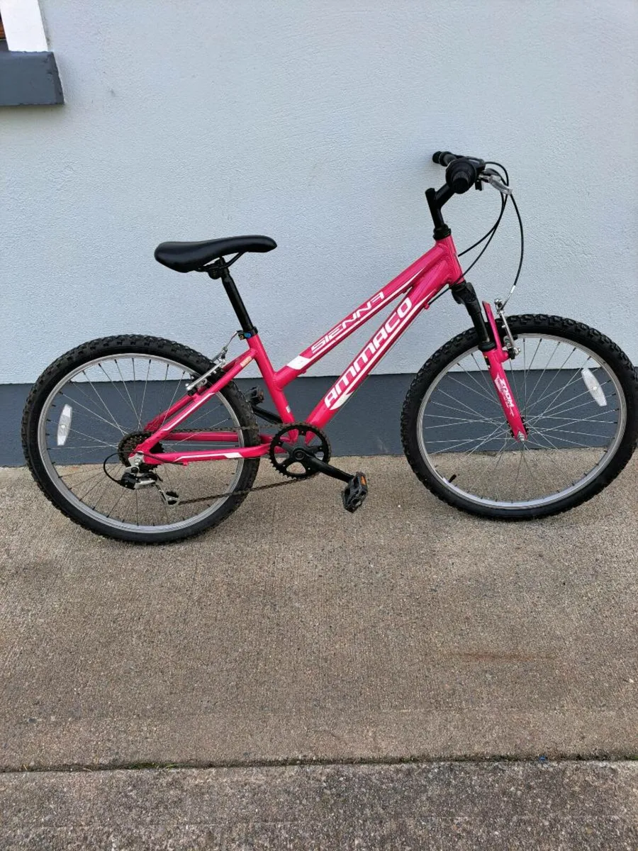 Mountain Bike - Image 1