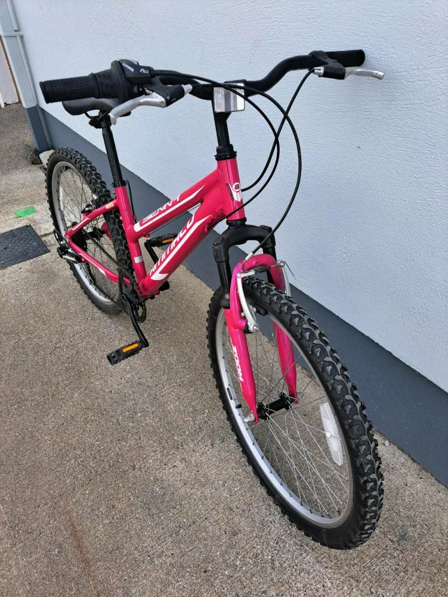 Mountain Bike - Image 2