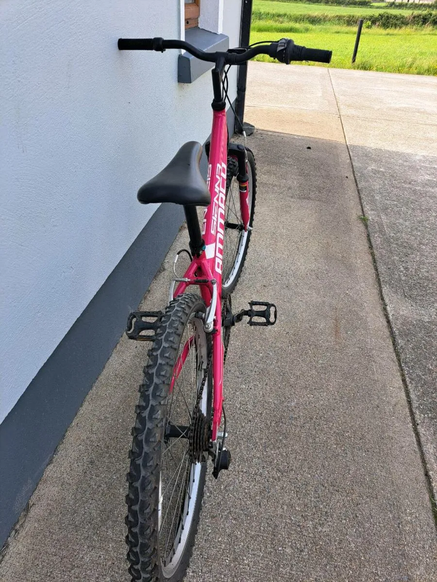 Mountain Bike - Image 3