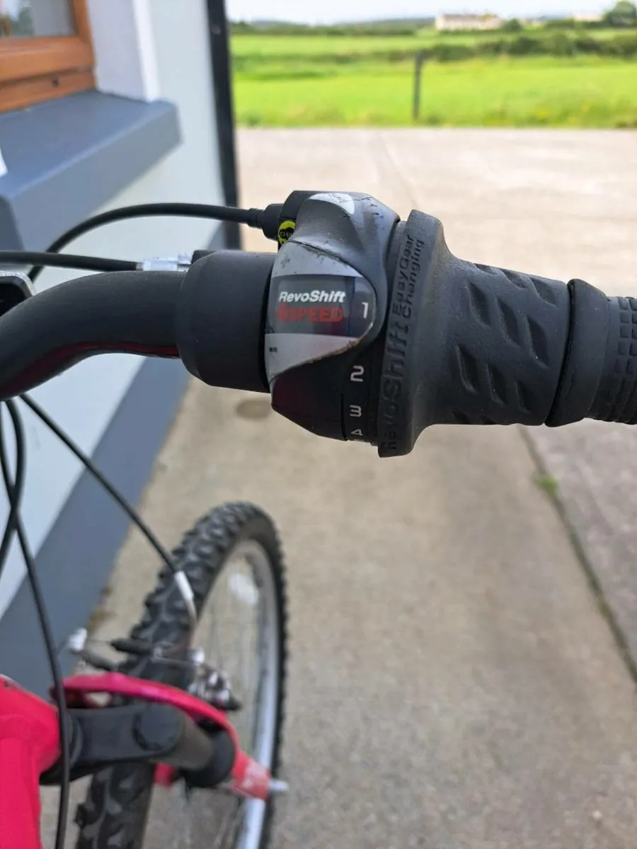 Mountain Bike - Image 4