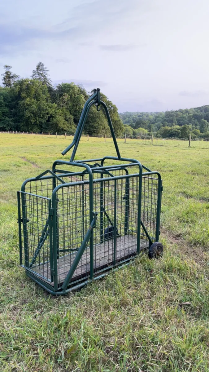 Lamb Weighing Scales - Image 1