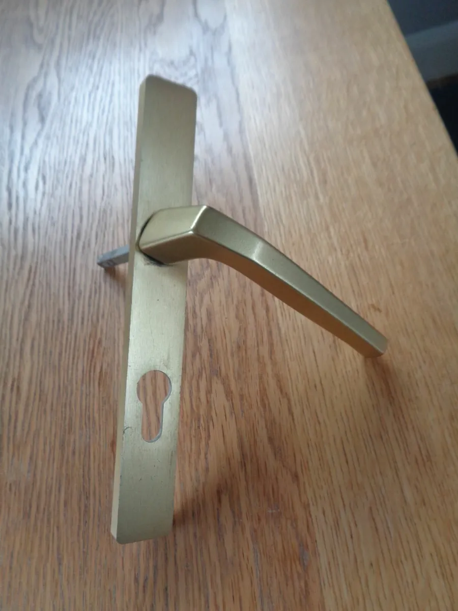Brass Door Handle for Sale - Image 1
