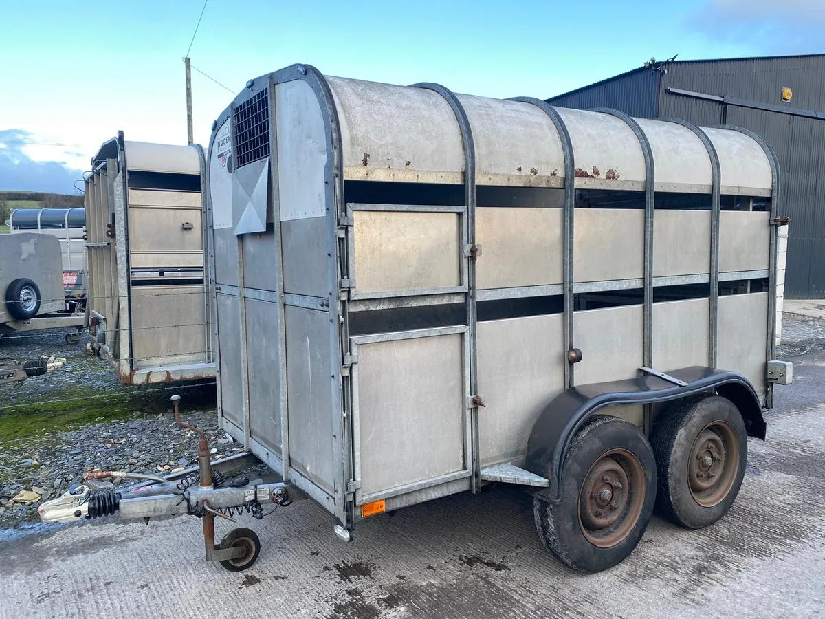 Nugent cattle trailer - Image 1