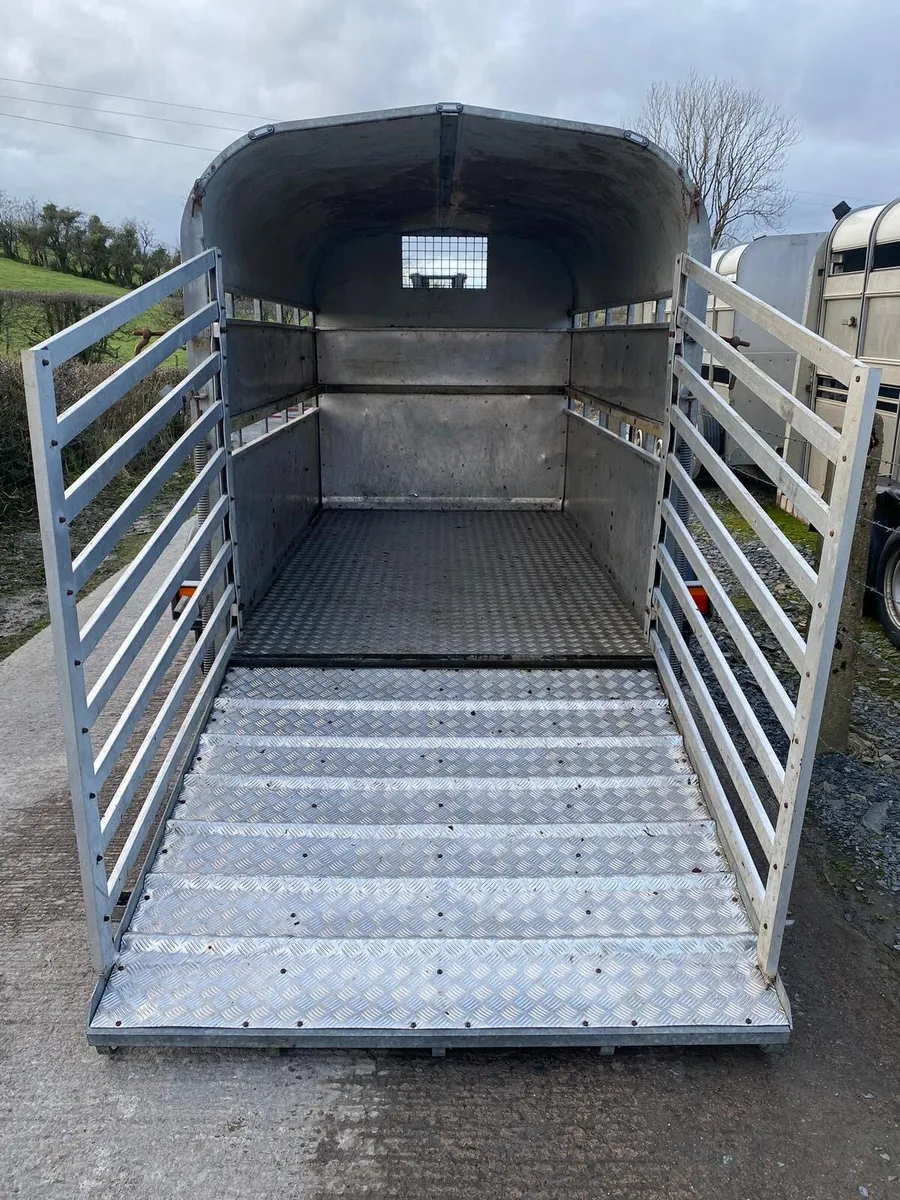 Nugent cattle trailer - Image 2