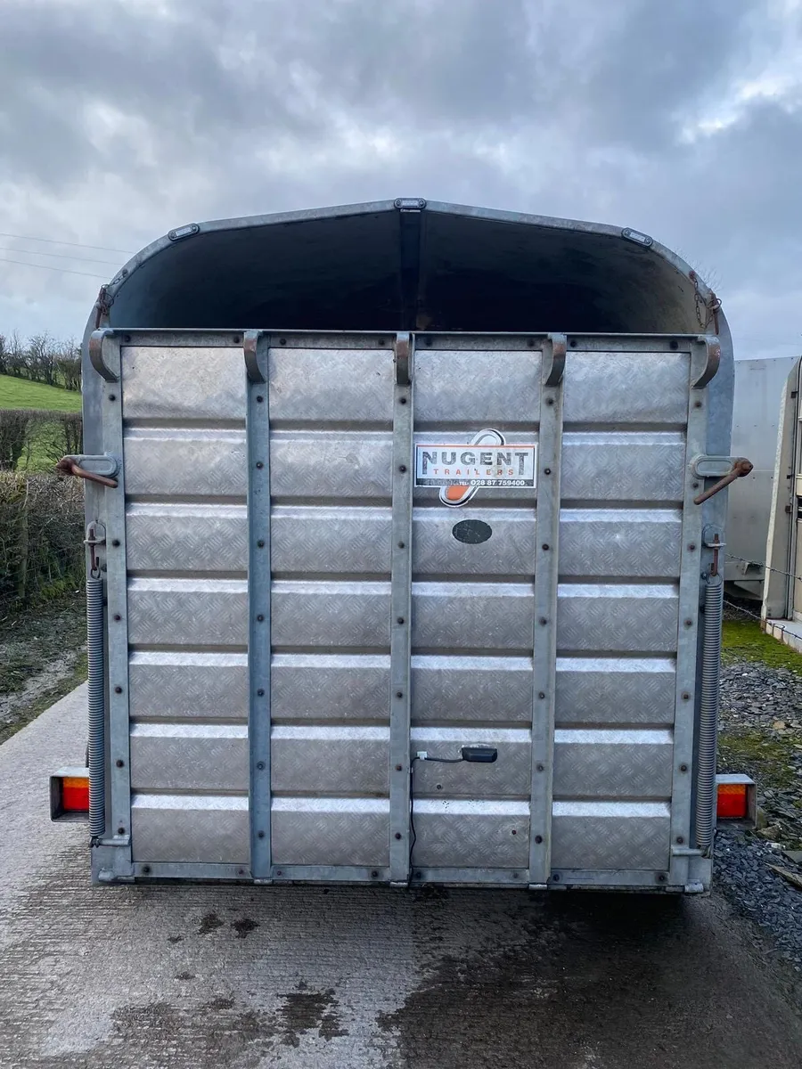 Nugent cattle trailer - Image 4
