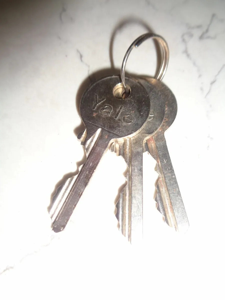 Locking Outside Access Device for Sale - Image 2