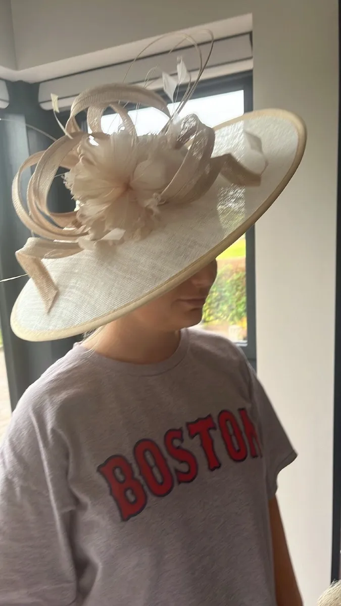 Unworn Mother of the bride dress snd hat - Image 1