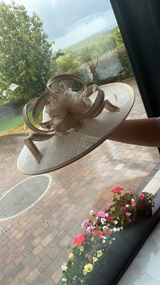 Unworn Mother of the bride dress snd hat - Image 2