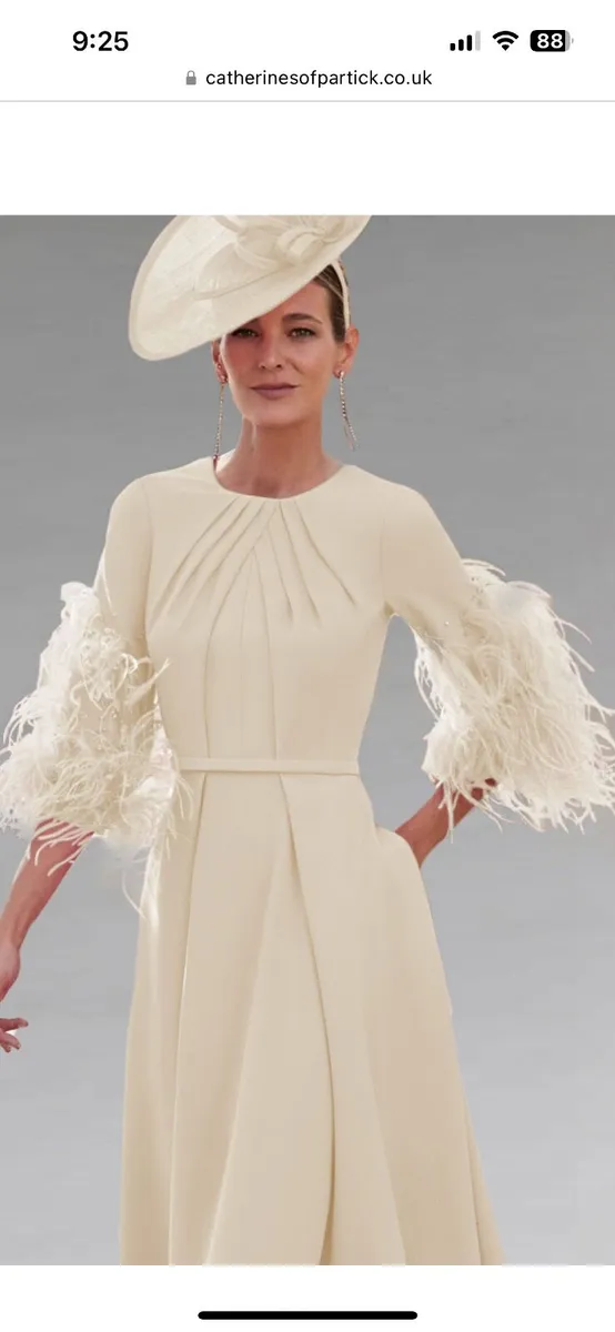 Unworn Mother of the bride dress snd hat - Image 3