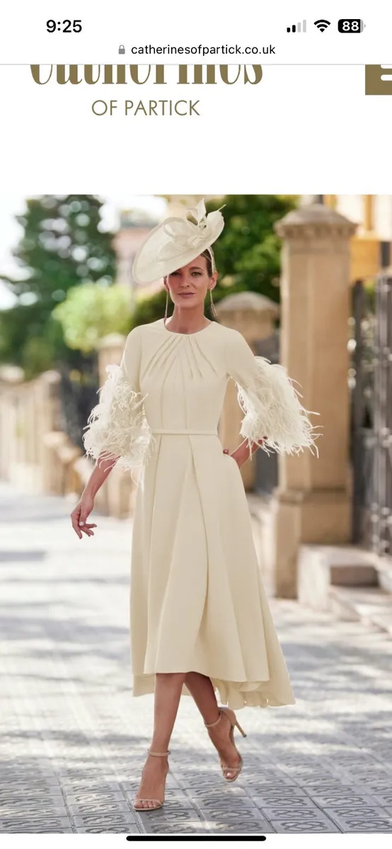 Unworn Mother of the bride dress snd hat - Image 4