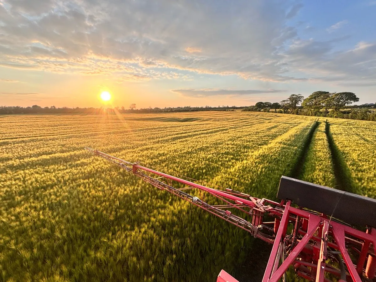 Land wanted for crops