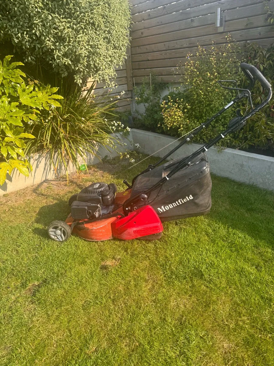 Mountfield HP46R Roller lawnmower - Image 1