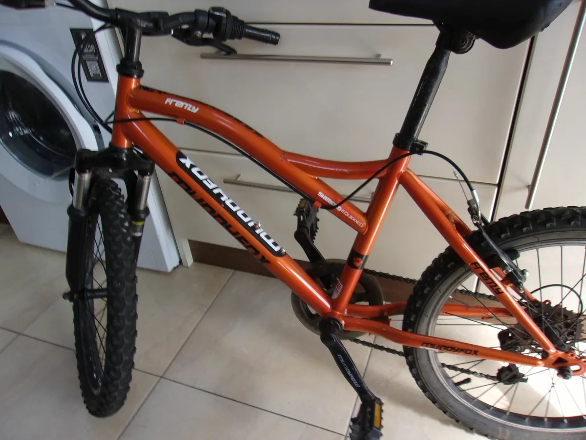BOYS  MOUNTAIN  BIKE  20  INCH WHEELS