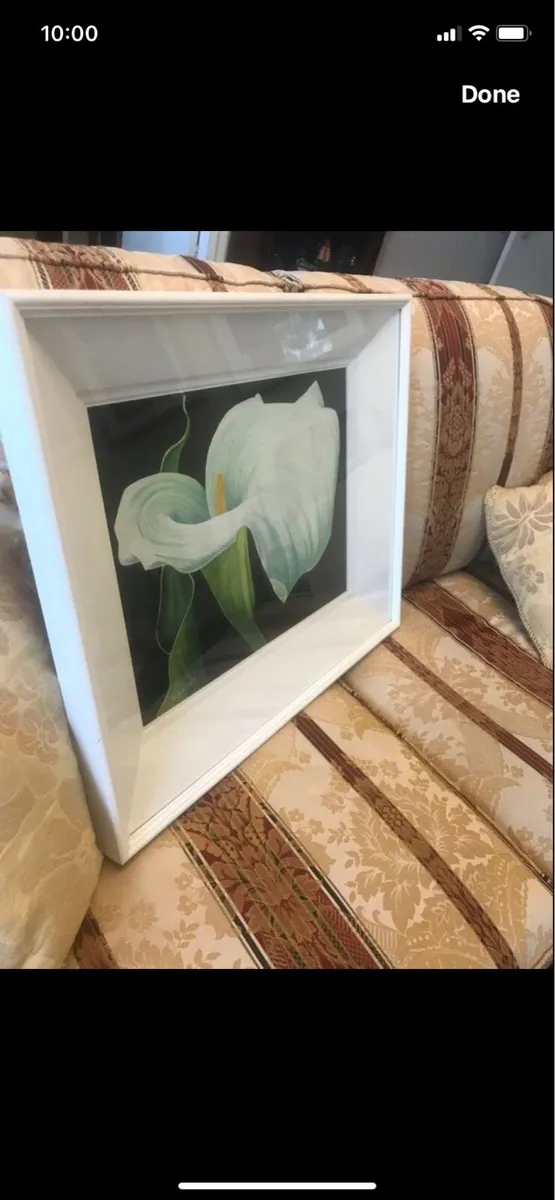 Arum Lily- Nicola Lynch Morrin Original - Image 1