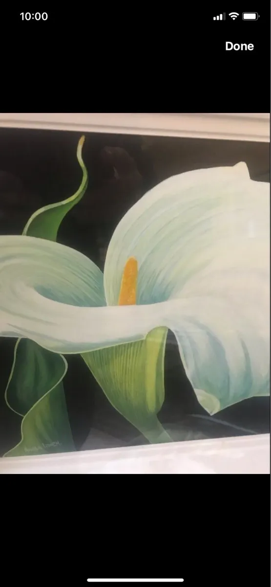 Arum Lily- Nicola Lynch Morrin Original - Image 3