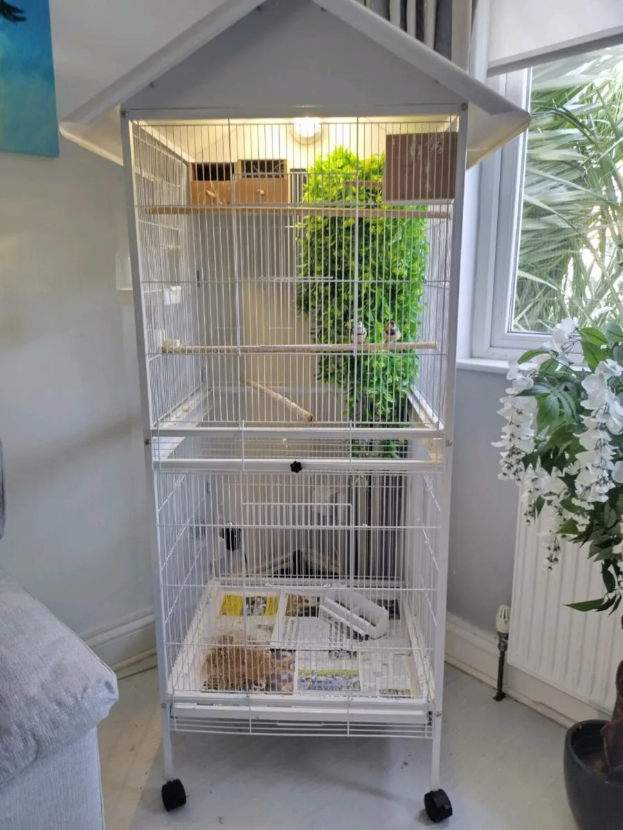 Bird Cage - Image 1