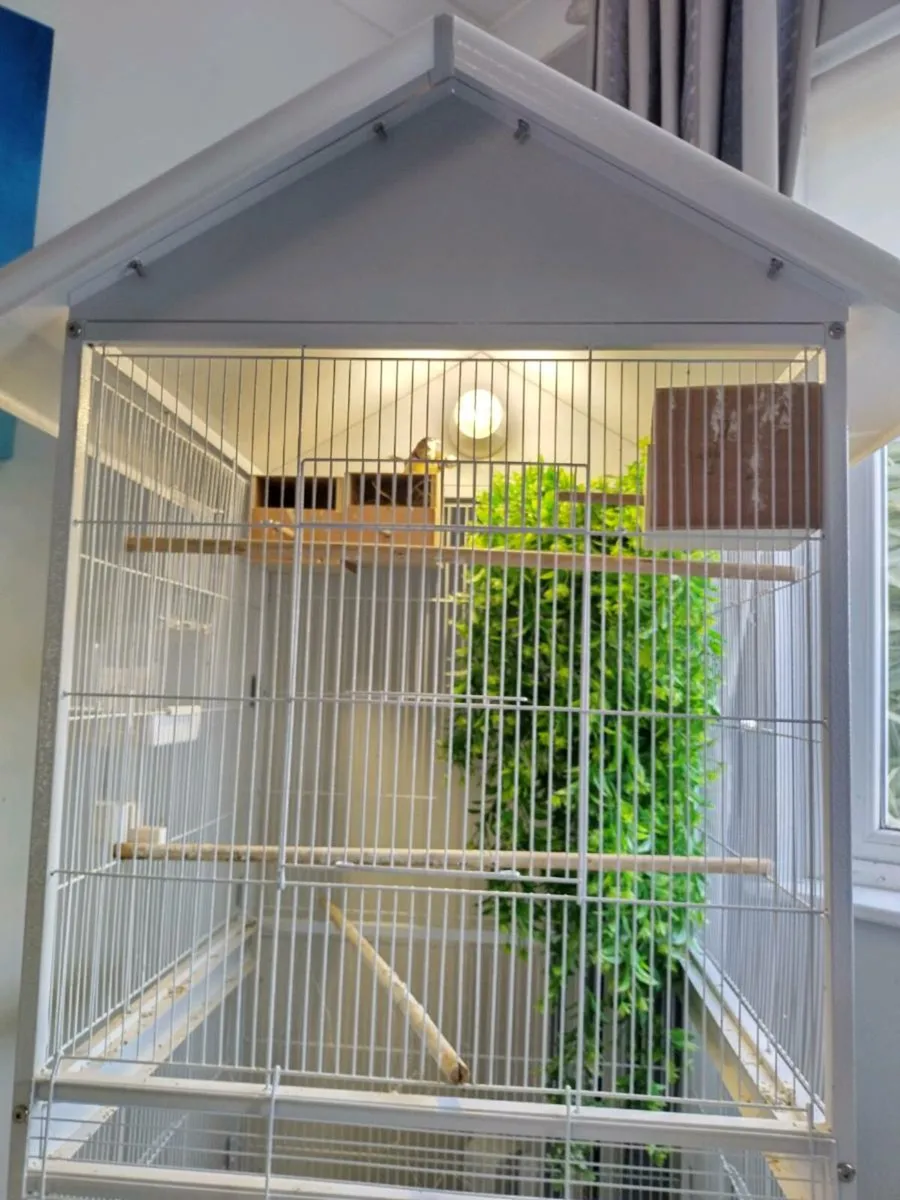 Bird Cage - Image 3