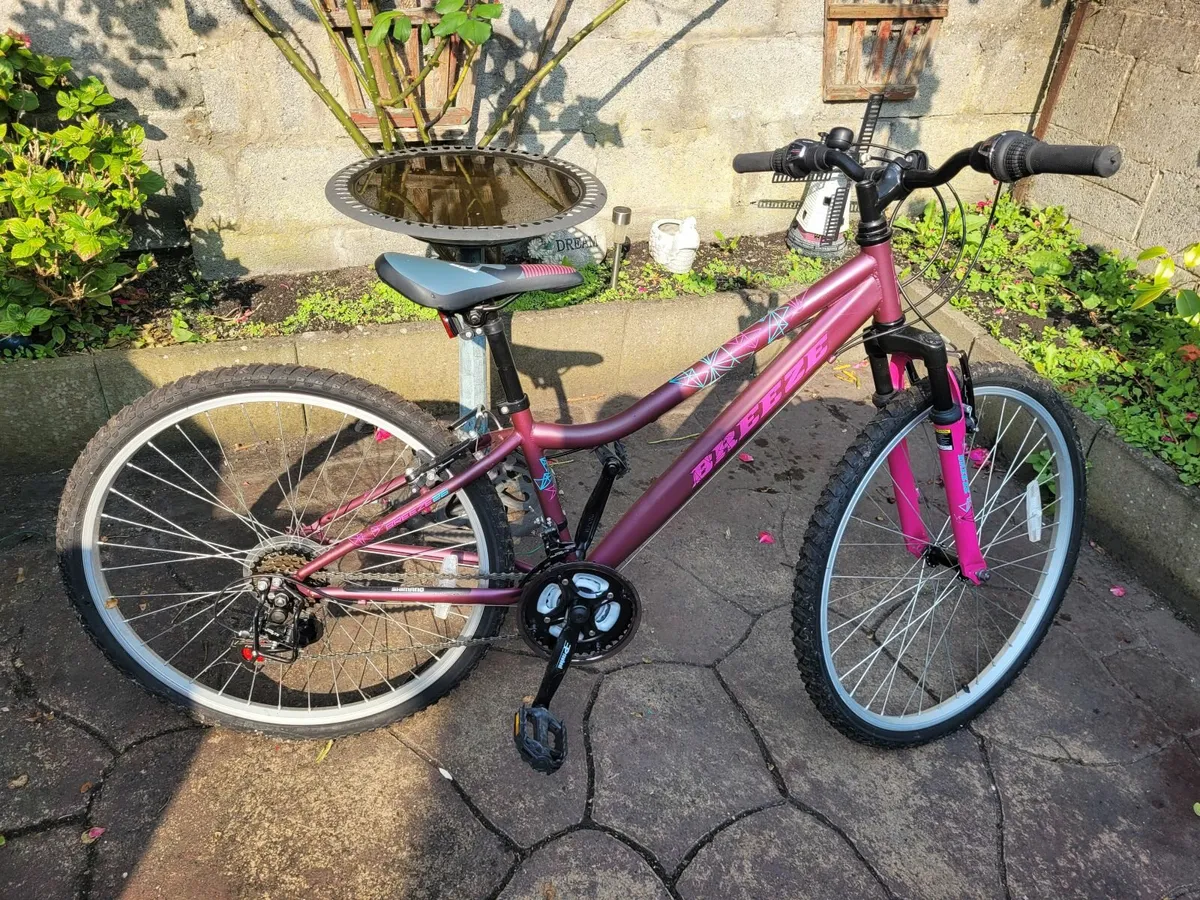 2 ladies mountain bikes.  1 new 26 inch. 1 used 24 - Image 2