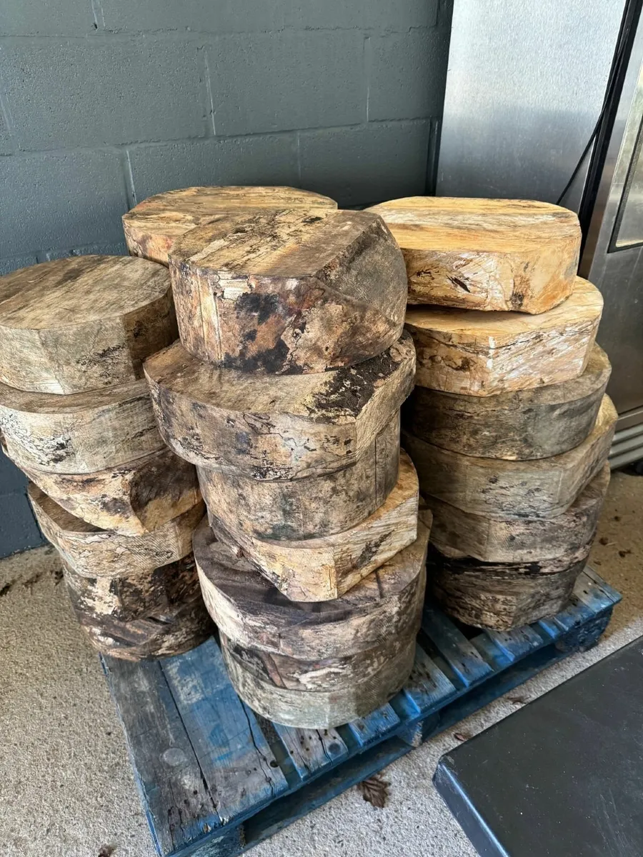 Kiln dried Spalted Beech Woodturning Blanks