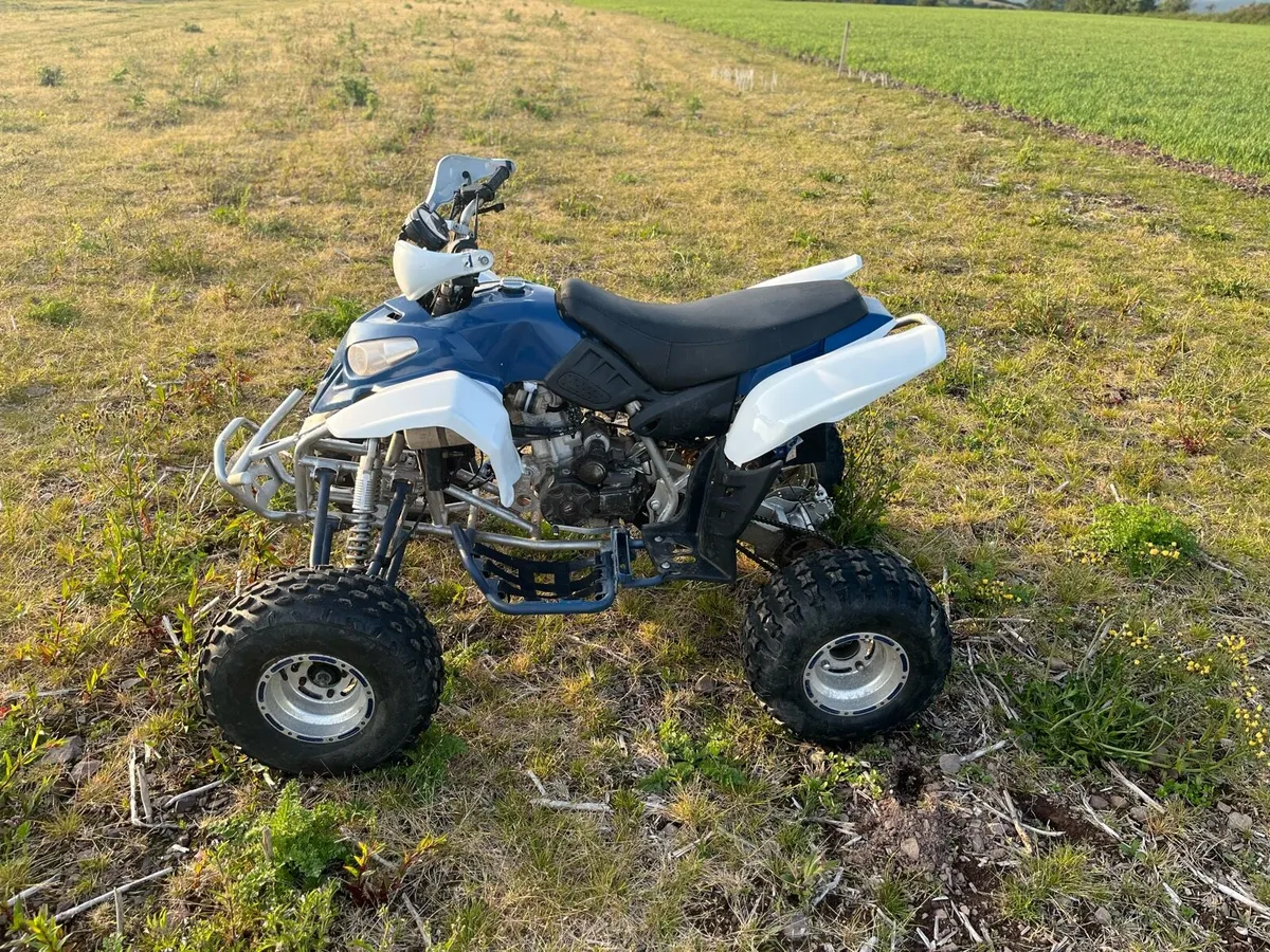 Quad 250cc - Image 2