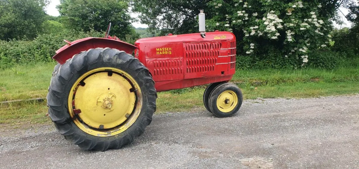 1939 Massey Harris 101 Super - Image 3