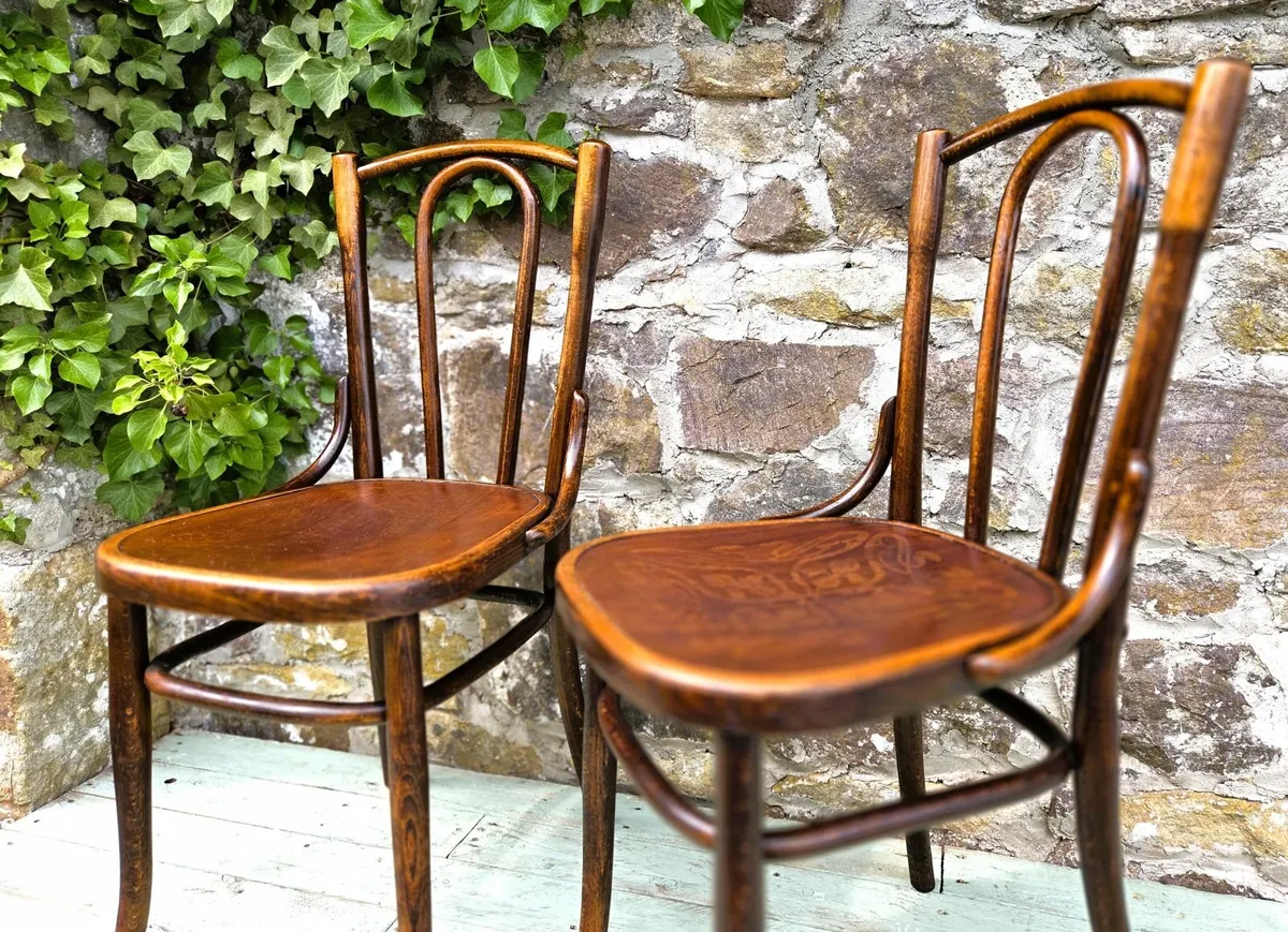 Antique Bentwood Chairs - Image 4
