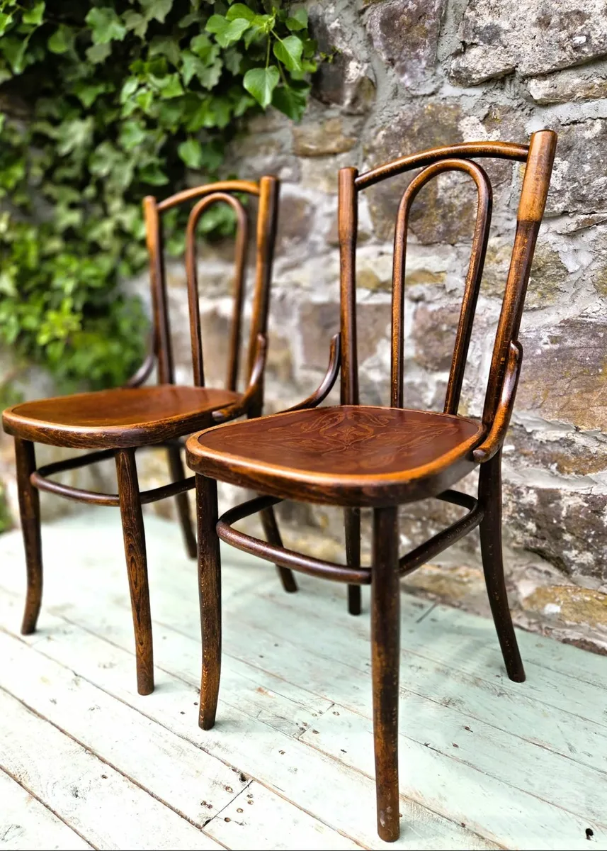 Antique Bentwood Chairs - Image 1