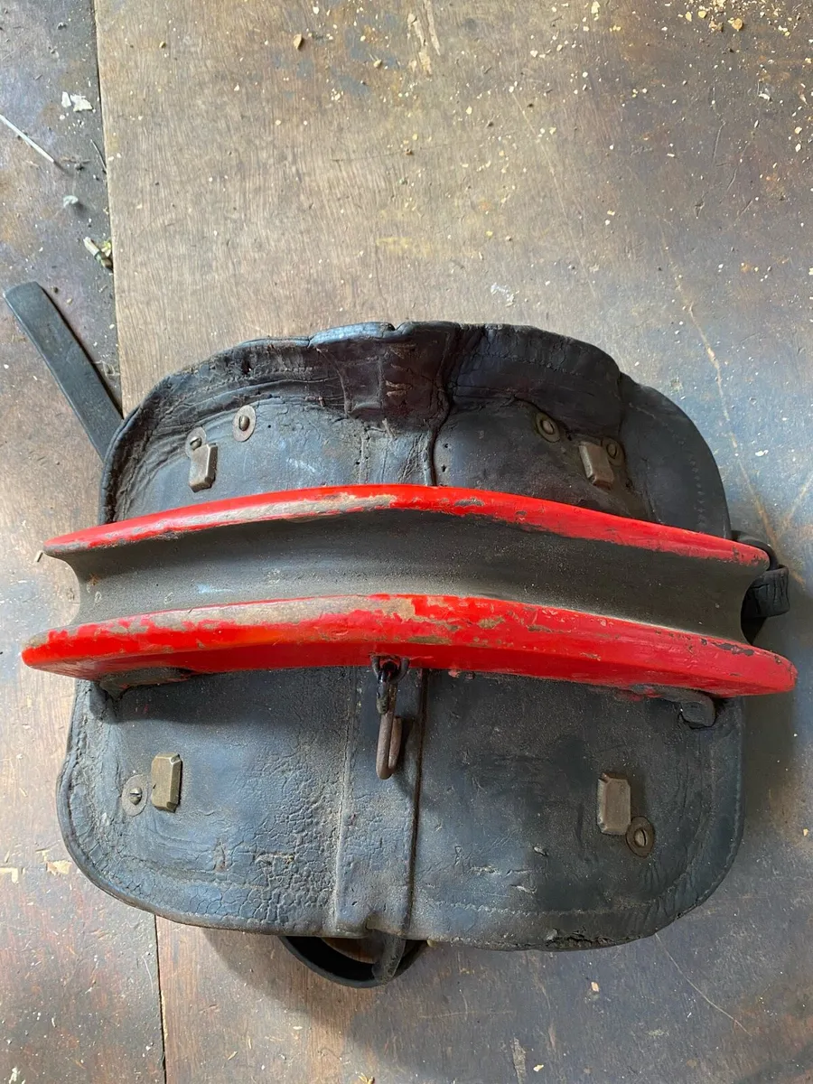 Donkey harness - Image 1