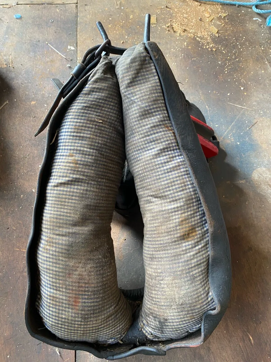Donkey harness - Image 3