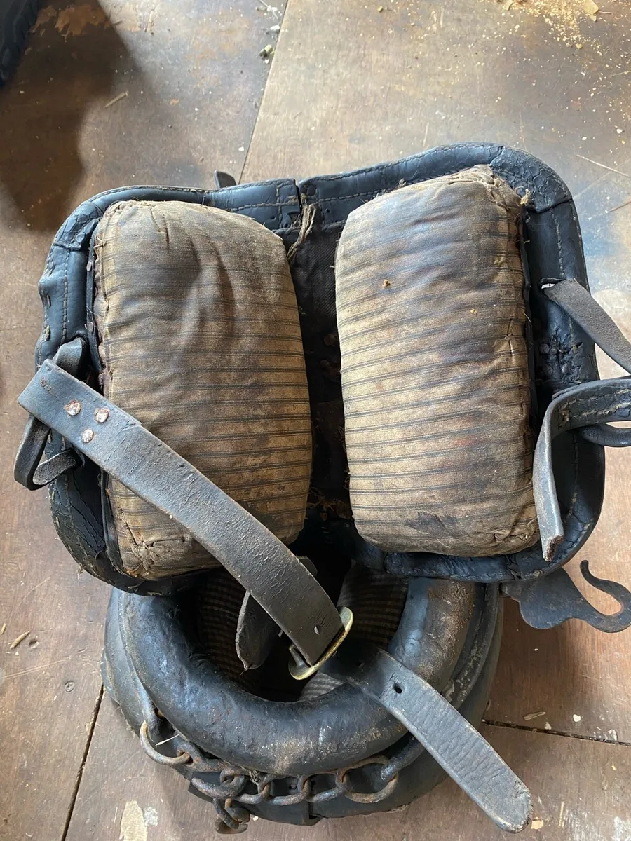 Donkey harness - Image 4