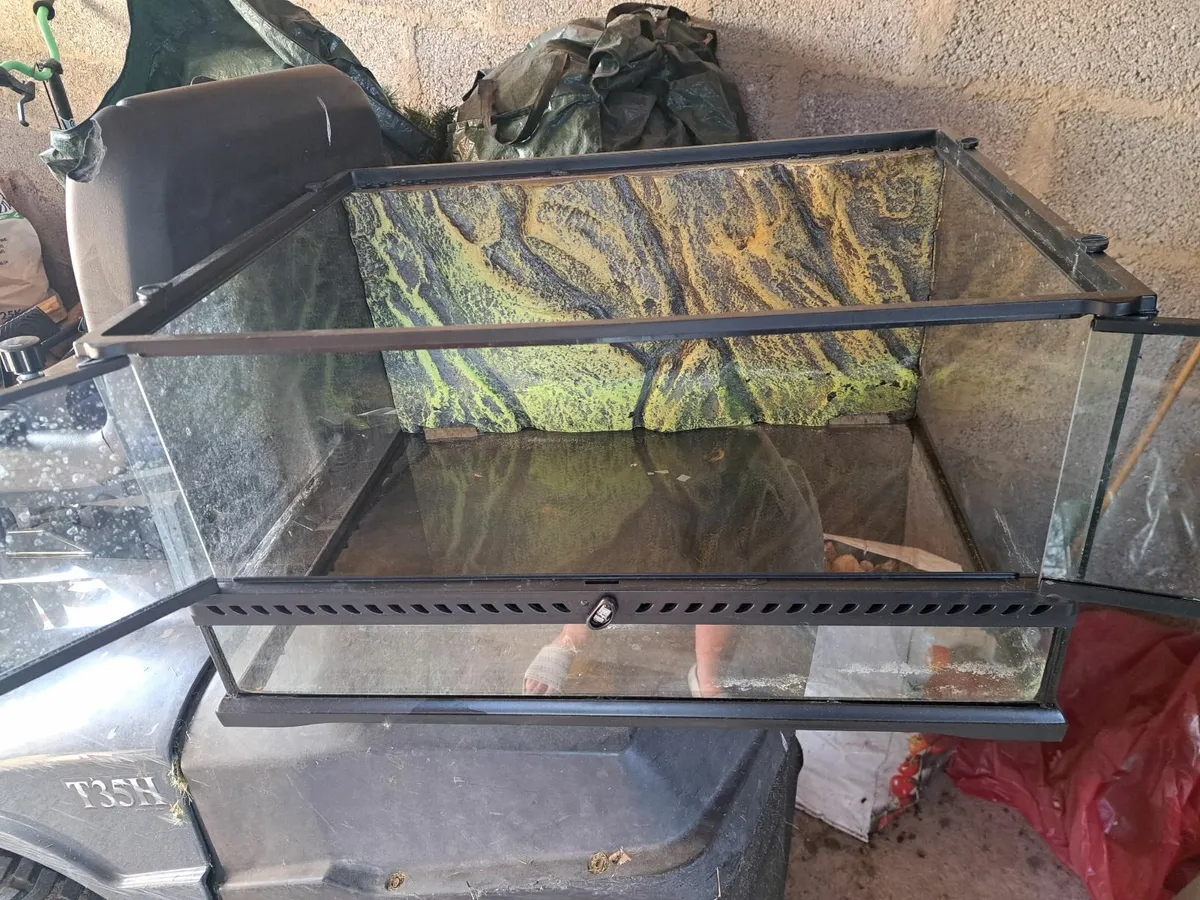 Fish tank - Image 3