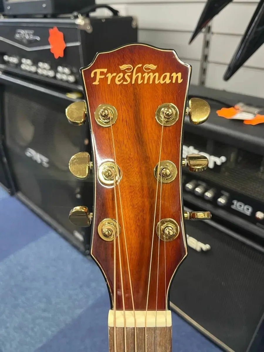 Freshman Electro Acoustic Guitar with Case - Image 3