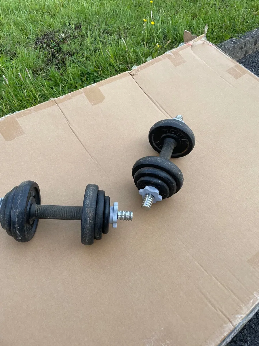 Set of adjustable Weights - Image 1