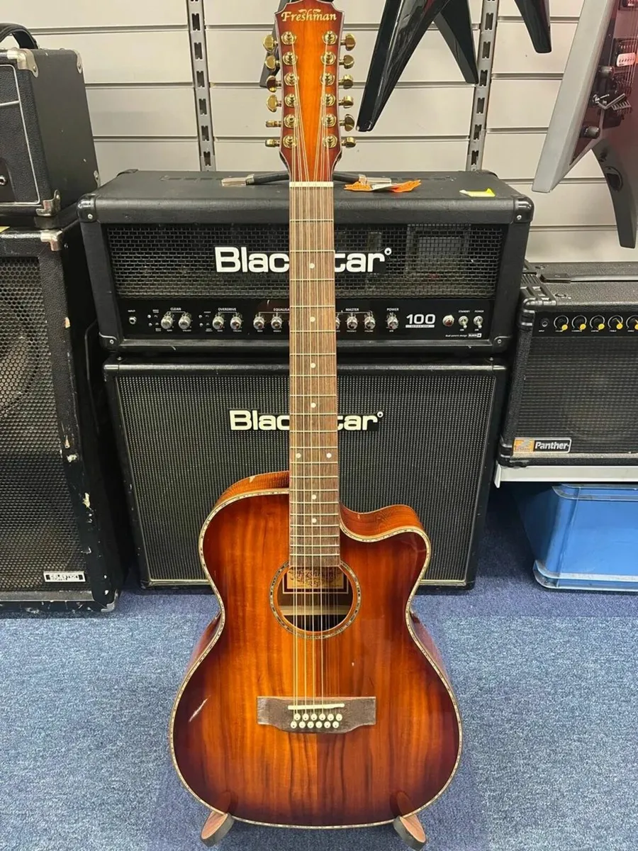 Freshman 12 String Electro Acoustic Guitar - Image 2